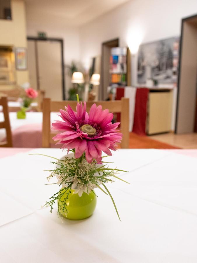 Pension Hotel Mariahilf Вена Экстерьер фото