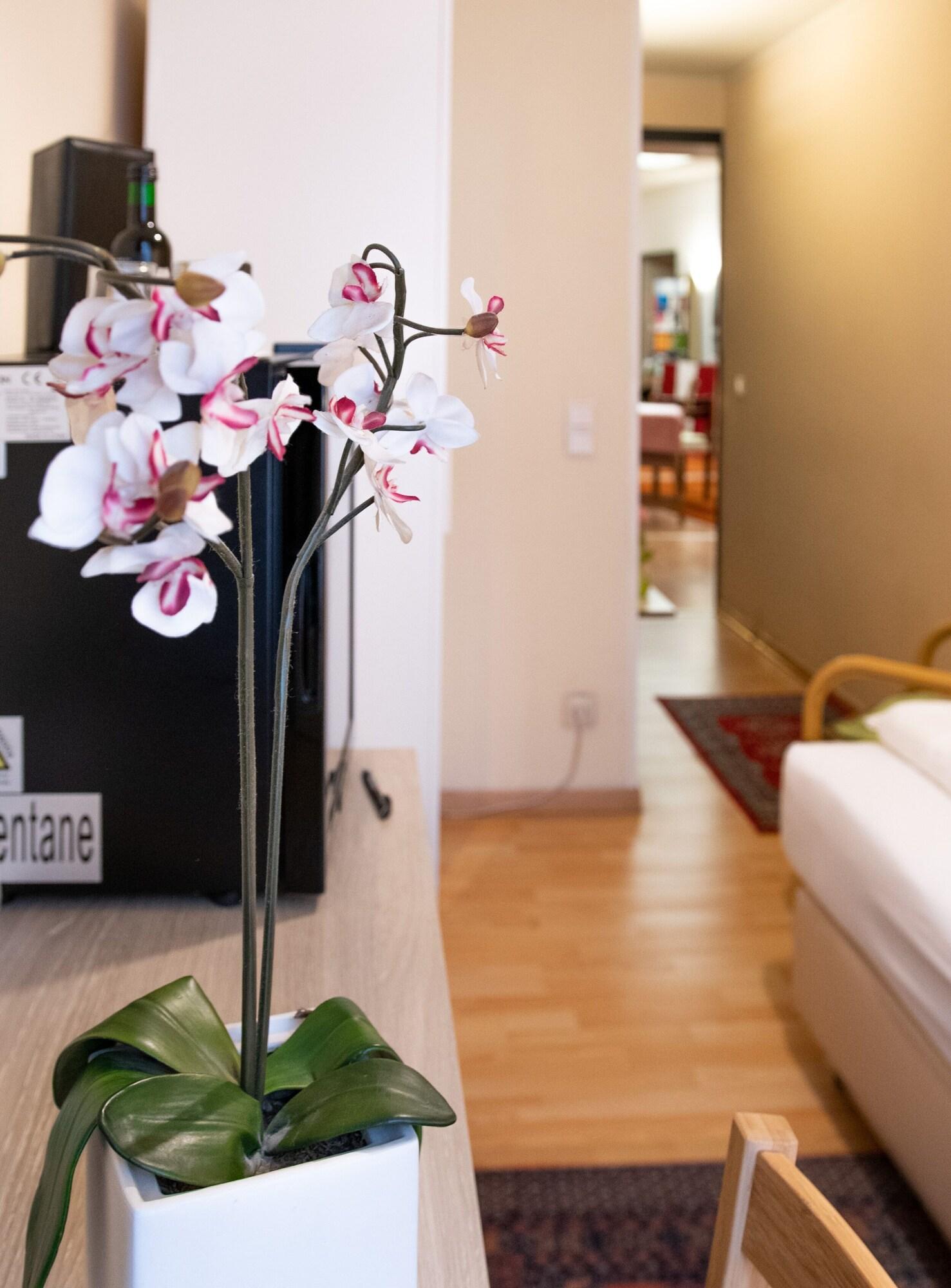 Pension Hotel Mariahilf Вена Экстерьер фото